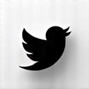 X (Twitter) Icon